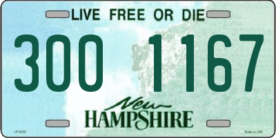 NH license plate 3001167