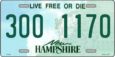 NH license plate 3001170