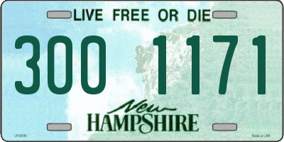 NH license plate 3001171