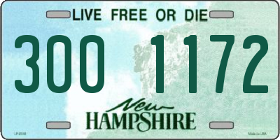 NH license plate 3001172