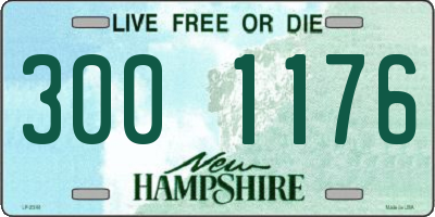 NH license plate 3001176
