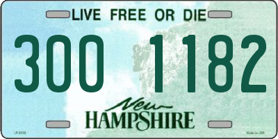 NH license plate 3001182