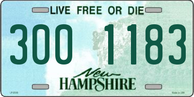 NH license plate 3001183