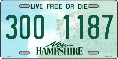 NH license plate 3001187