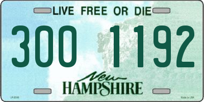 NH license plate 3001192
