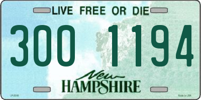 NH license plate 3001194