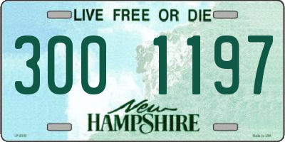 NH license plate 3001197