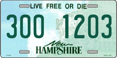 NH license plate 3001203