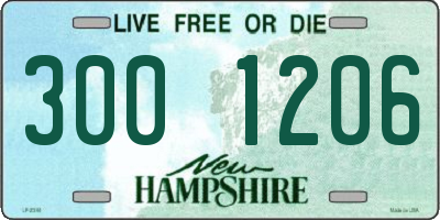 NH license plate 3001206