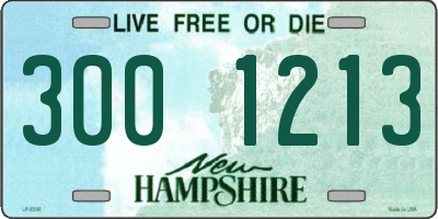 NH license plate 3001213