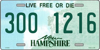 NH license plate 3001216