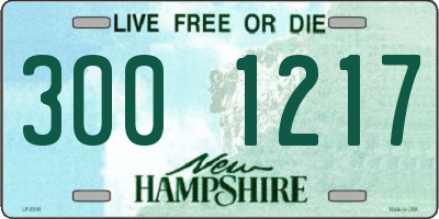 NH license plate 3001217