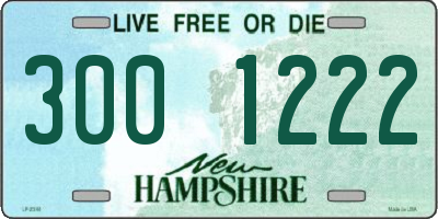 NH license plate 3001222