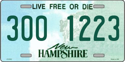 NH license plate 3001223