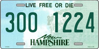 NH license plate 3001224
