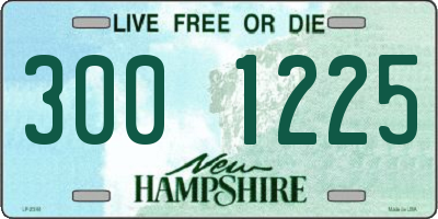 NH license plate 3001225