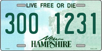 NH license plate 3001231