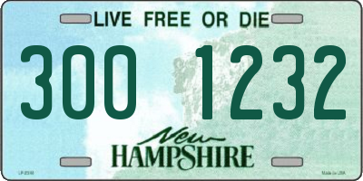 NH license plate 3001232