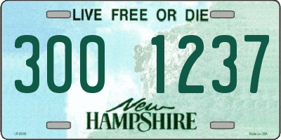 NH license plate 3001237
