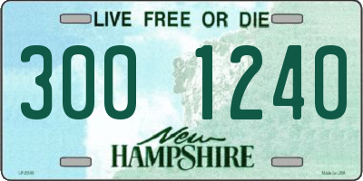 NH license plate 3001240