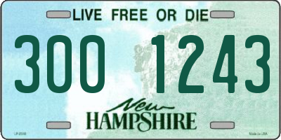NH license plate 3001243