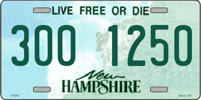 NH license plate 3001250