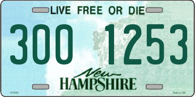NH license plate 3001253