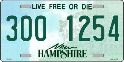 NH license plate 3001254