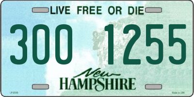 NH license plate 3001255