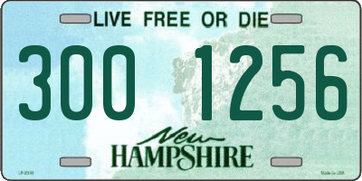 NH license plate 3001256