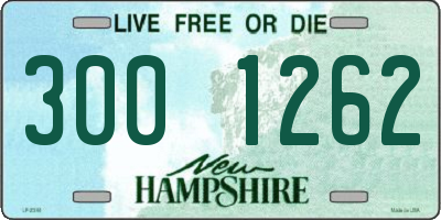 NH license plate 3001262