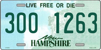 NH license plate 3001263
