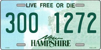 NH license plate 3001272