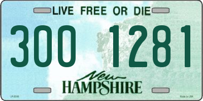 NH license plate 3001281