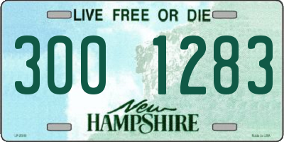 NH license plate 3001283