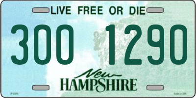 NH license plate 3001290