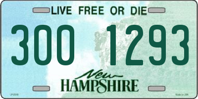 NH license plate 3001293