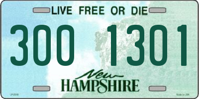 NH license plate 3001301