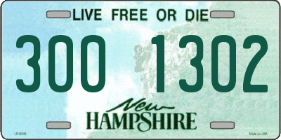 NH license plate 3001302