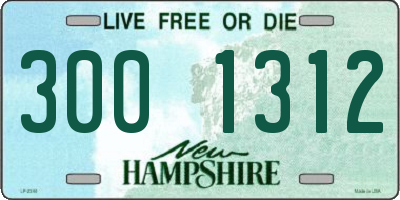 NH license plate 3001312