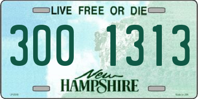 NH license plate 3001313