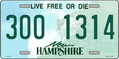 NH license plate 3001314