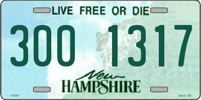 NH license plate 3001317