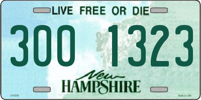 NH license plate 3001323