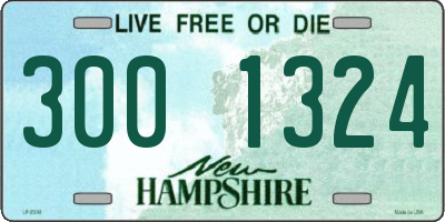 NH license plate 3001324