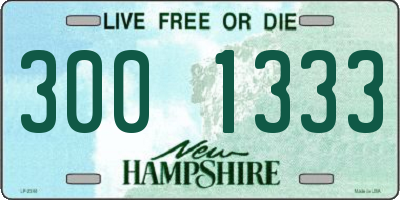 NH license plate 3001333