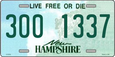 NH license plate 3001337