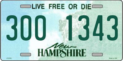 NH license plate 3001343