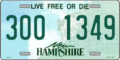 NH license plate 3001349
