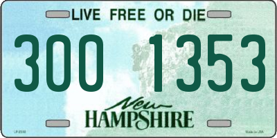 NH license plate 3001353
